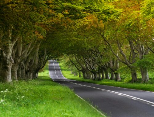 “The UK’s roads are the backbone of a growing economy”