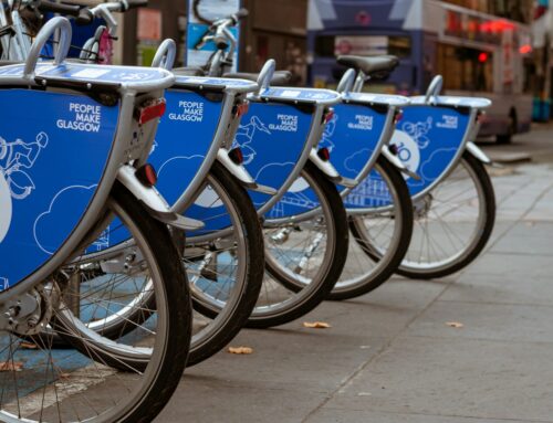 The Role of Transport Consultants in Sustainable Development